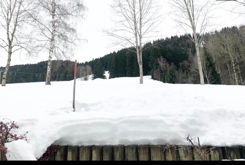 Fewo Alpenwiese Mit Hallenbad&Sauna Missen-Wilhams Zewnętrze zdjęcie