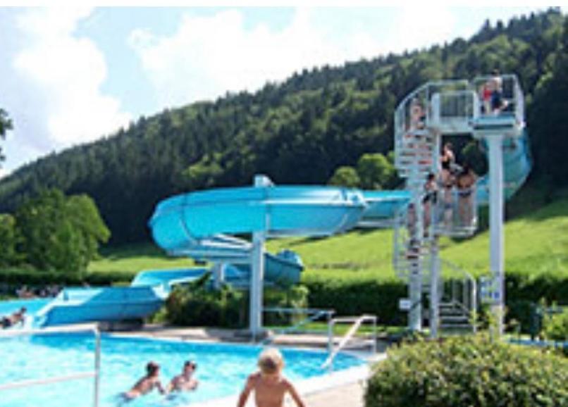 Fewo Alpenwiese Mit Hallenbad&Sauna Missen-Wilhams Zewnętrze zdjęcie