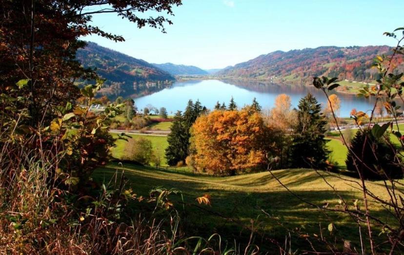 Fewo Alpenwiese Mit Hallenbad&Sauna Missen-Wilhams Zewnętrze zdjęcie
